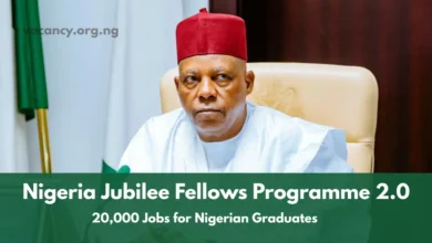 Nigeria Jubilee Fellows Programme 2.0 – FG Targets 20,000 Jobs Annually