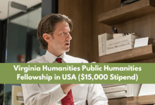 Public Humanities Fellowship