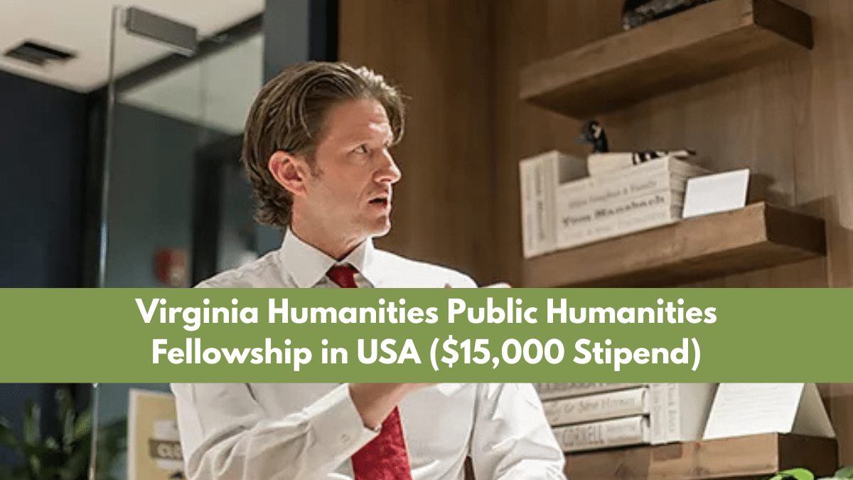 Public Humanities Fellowship